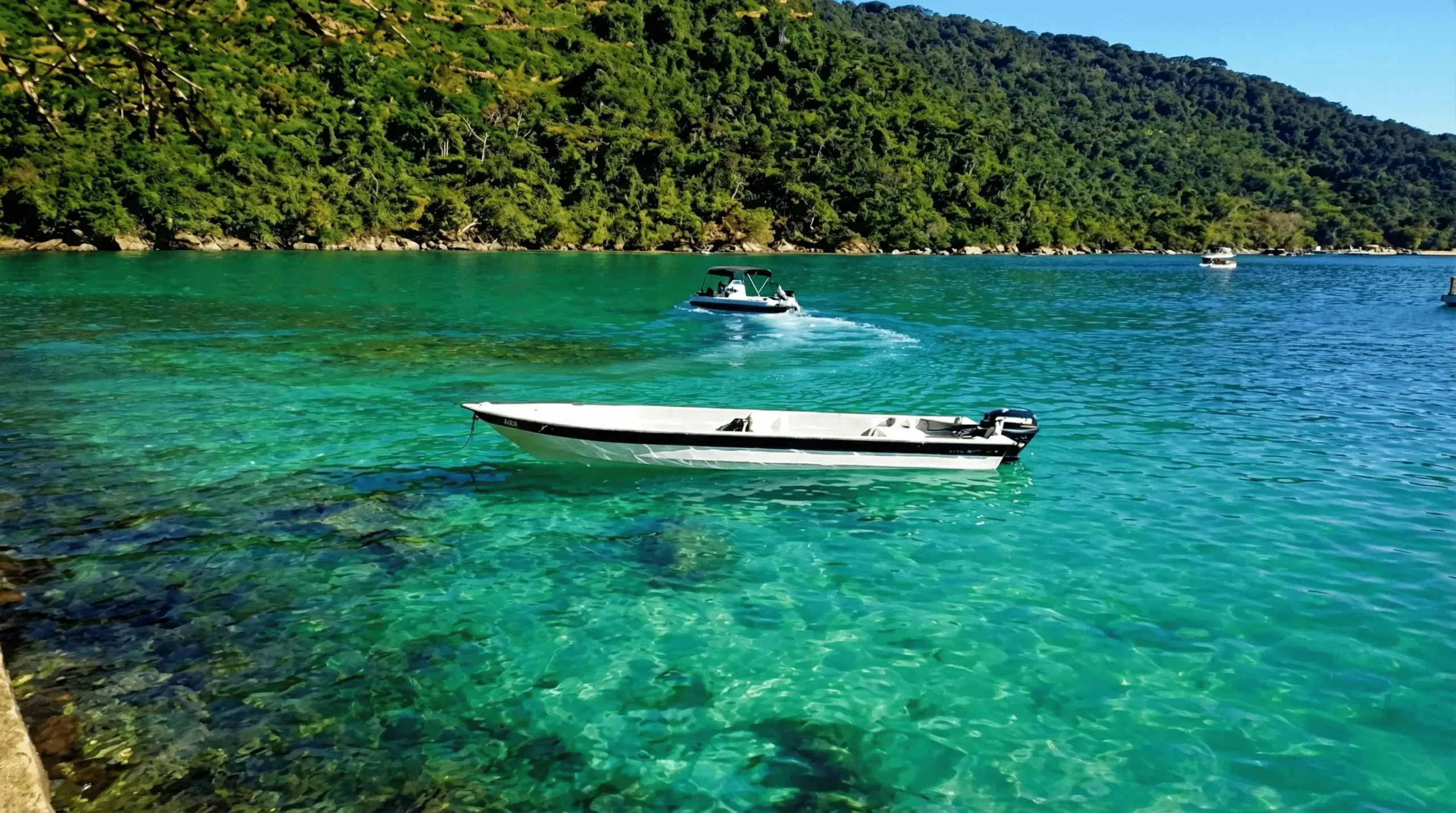 74c7653d-9b53-4983-b219-292a6fec96ee